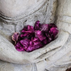 Terapeuta culpa