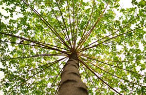 sesiones terapia culpabilidad